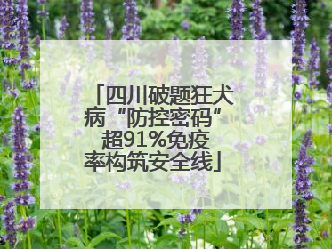 四川破题狂犬病“防控密码” 超91%免疫率构筑安全线
