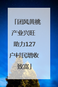 团风黄桃产业兴旺 助力127户村民增收致富