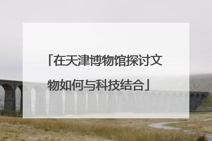 在天津博物馆探讨文物如何与科技结合