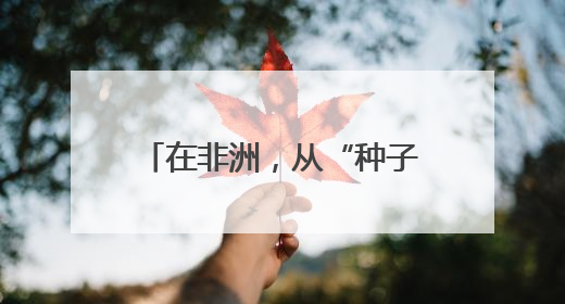 在非洲，从“种子”到“杯子”的遥远距离——一颗咖啡豆的前世今生（三）