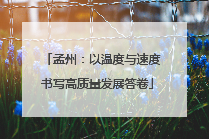 孟州：以温度与速度书写高质量发展答卷