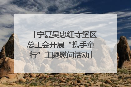 宁夏吴忠红寺堡区总工会开展“携手童行”主题慰问活动