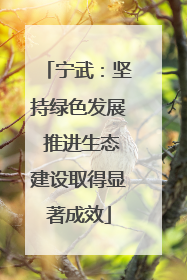 宁武：坚持绿色发展 推进生态建设取得显著成效
