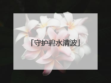 守护碧水清波
