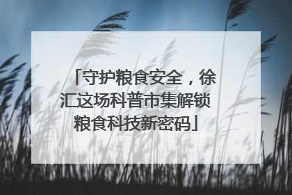 守护粮食安全，徐汇这场科普市集解锁粮食科技新密码