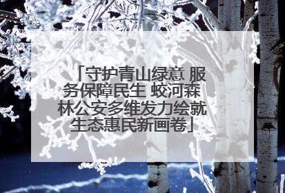 守护青山绿意 服务保障民生 蛟河森林公安多维发力绘就生态惠民新画卷