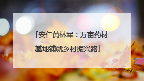 安仁黄林军：万亩药材基地铺就乡村振兴路