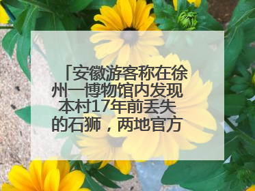 安徽游客称在徐州一博物馆内发现本村17年前丢失的石狮，两地官方最新回应