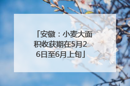 安徽：小麦大面积收获期在5月26日至6月上旬