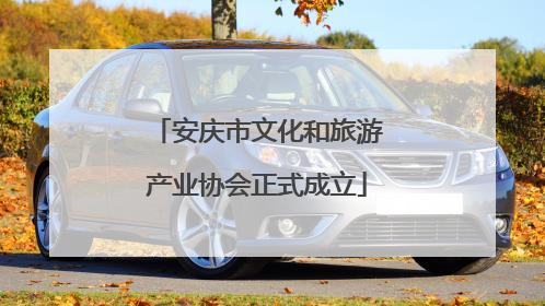 安庆市文化和旅游产业协会正式成立