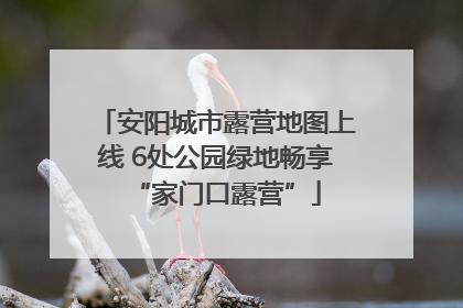 安阳城市露营地图上线 6处公园绿地畅享“家门口露营”