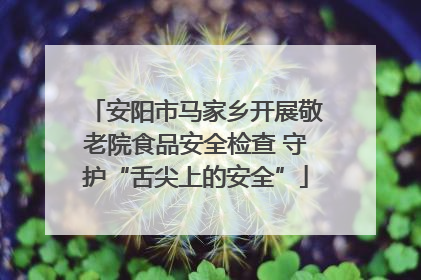 安阳市马家乡开展敬老院食品安全检查 守护“舌尖上的安全”