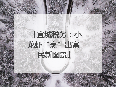 宜城税务：小龙虾“烹”出富民新图景