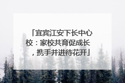 宜宾江安下长中心校：家校共育促成长，携手并进待花开