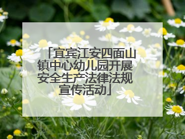 宜宾江安四面山镇中心幼儿园开展安全生产法律法规宣传活动
