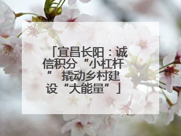 宜昌长阳：诚信积分“小杠杆” 撬动乡村建设“大能量”