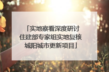 实地察看深度研讨 住建部专家组实地复核城阳城市更新项目