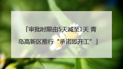 审批时限由5天减至1天 青岛高新区推行“承诺即开工”