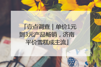 壹点调查｜单价1元到3元产品畅销，济南平价雪糕成主流
