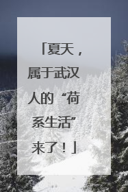 夏天，属于武汉人的“荷系生活”来了！