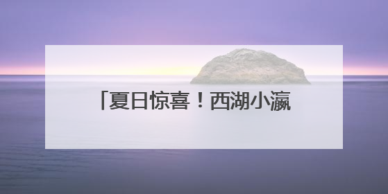 夏日惊喜！西湖小瀛洲出现罕见双色睡莲