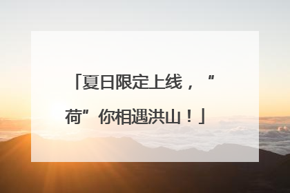 夏日限定上线，“荷”你相遇洪山！
