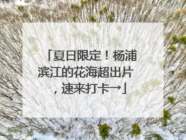 夏日限定！杨浦滨江的花海超出片，速来打卡→