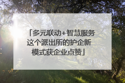 多元联动+智慧服务 这个派出所的护企新模式获企业点赞