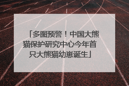 多图预警！中国大熊猫保护研究中心今年首只大熊猫幼崽诞生