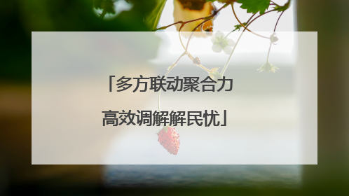 多方联动聚合力 高效调解解民忧
