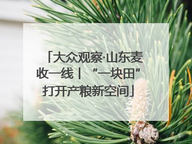 大众观察·山东麦收一线丨“一块田”打开产粮新空间