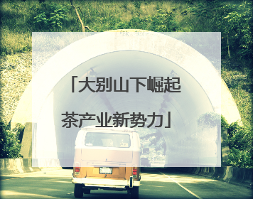 大别山下崛起茶产业新势力