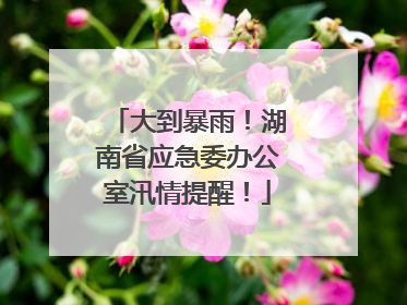 大到暴雨！湖南省应急委办公室汛情提醒！