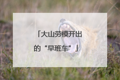 大山劳模开出的“早班车”