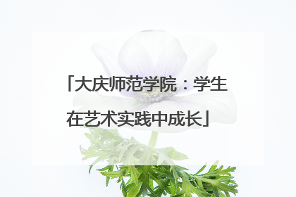 大庆师范学院：学生在艺术实践中成长