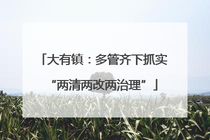 大有镇：多管齐下抓实“两清两改两治理”