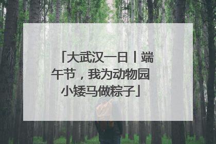 大武汉一日丨端午节，我为动物园小矮马做粽子