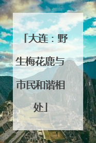 大连：野生梅花鹿与市民和谐相处