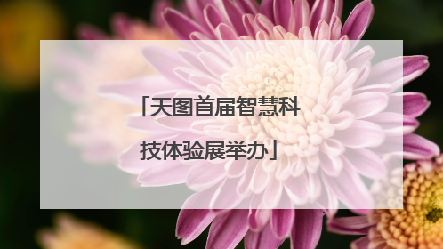 天图首届智慧科技体验展举办