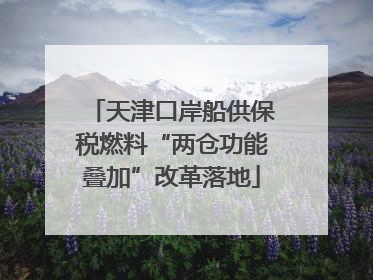 天津口岸船供保税燃料“两仓功能叠加”改革落地