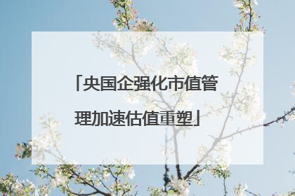 央国企强化市值管理加速估值重塑