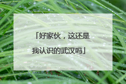 好家伙，这还是我认识的武汉吗