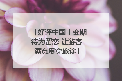 好评中国丨变期待为留恋 让游客满意贯穿旅途