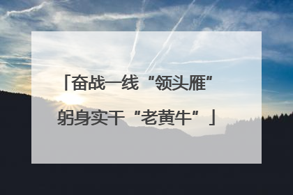 奋战一线“领头雁” 躬身实干“老黄牛”