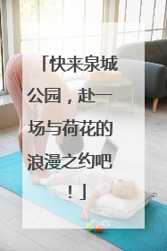 快来泉城公园，赴一场与荷花的浪漫之约吧！