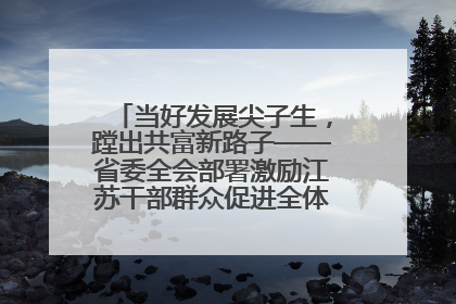 当好发展尖子生，蹚出共富新路子——省委全会部署激励江苏干部群众促进全体人民共同富裕