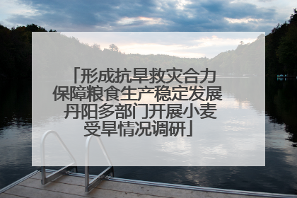 形成抗旱救灾合力 保障粮食生产稳定发展 丹阳多部门开展小麦受旱情况调研
