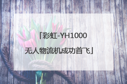 彩虹-YH1000无人物流机成功首飞