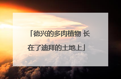 德兴的多肉植物 长在了迪拜的土地上