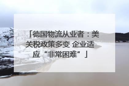 德国物流从业者：美关税政策多变 企业适应“非常困难”